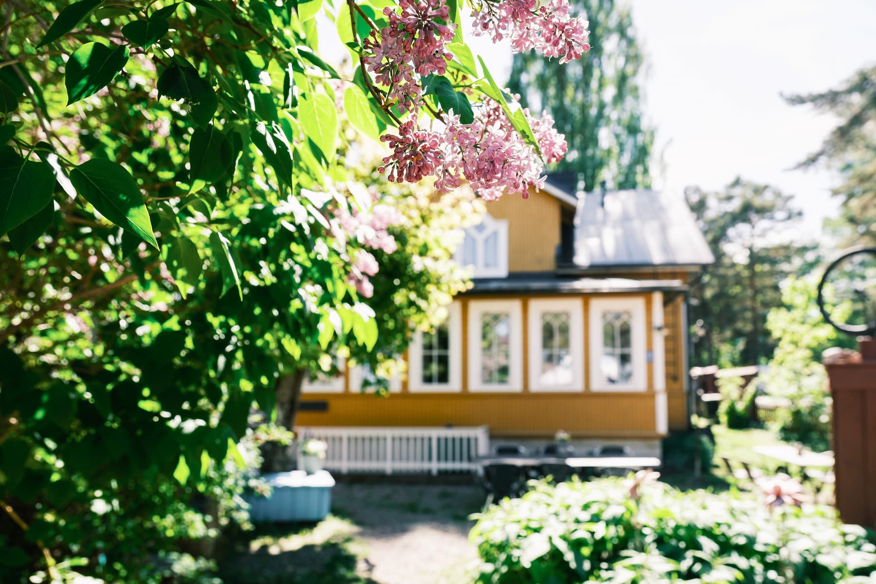 Ett gult trähus med fönster med vita lister syns delvis bakom grönt lövverk och blommande rosa blommor i en solbelyst trädgård.
