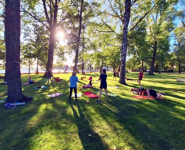 En grupp människor tränar på yogamattor i en park med höga träd, grönt gräs och solljus som strilar in genom grenarna.